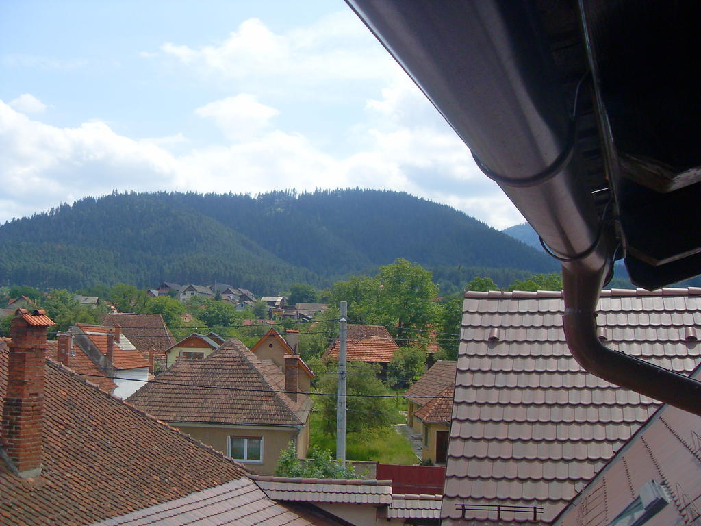 Pensiunea Haiduc Sacele Brasov Zewnętrze zdjęcie