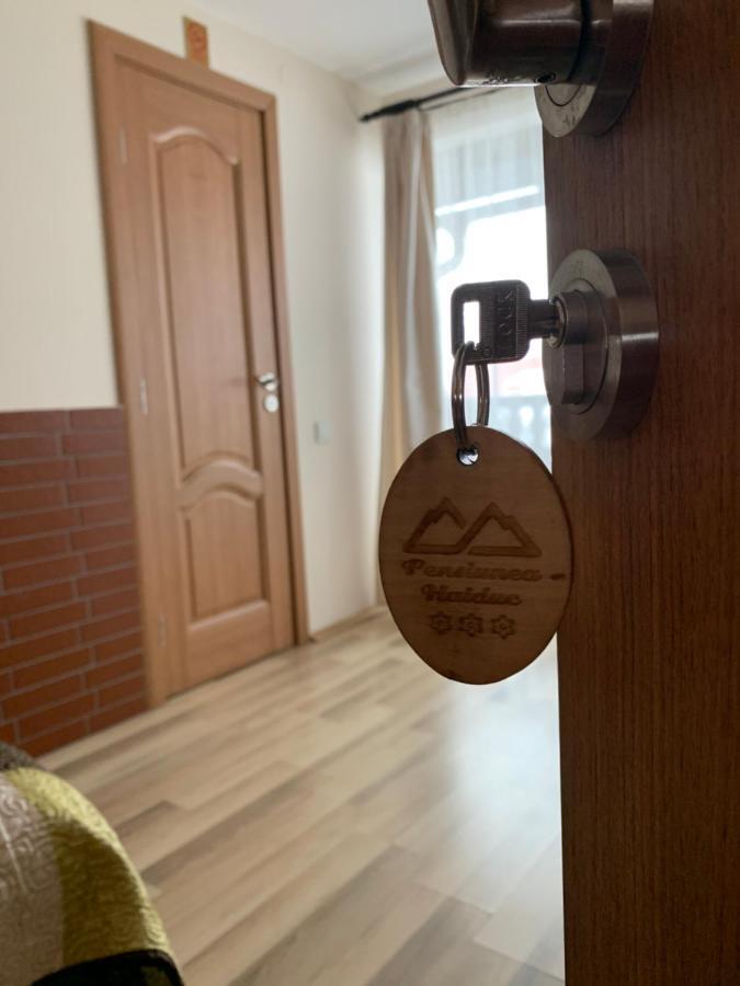 Pensiunea Haiduc Sacele Brasov Zewnętrze zdjęcie